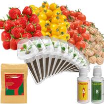Kit de Cápsulas de Sementes inbloom com 12 Unidades de Morango e Tomate para Hidroponia Kit de Cápsulas de Sementes inbloom com 12 Unidades de Morango e Tomate para Hidroponia