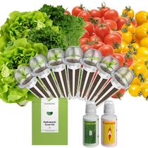 Kit de Cápsulas de Sementes inbloom Salada Orgânica Hidropônica com 7 Cápsulas Kit de Cápsulas de Sementes inbloom Salada Orgânica Hidropônica com 7 Cápsulas