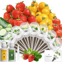 Kit de Cápsulas de Sementes LYKOCLEAN com 8 Cápsulas para Hidroponia Indoor Kit de Cápsulas de Sementes LYKOCLEAN com 8 Cápsulas para Hidroponia Indoor