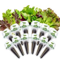 Kit de Cápsulas de Sementes para Alface Hidropônica HiHOYA com 12 Cápsulas Kit de Cápsulas de Sementes para Alface Hidropônica HiHOYA com 12 Cápsulas
