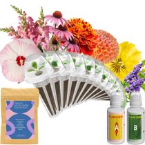 Kit de cápsulas hidropônicas para sementes de flores silvestres inbloom com 7 cápsulas Kit de cápsulas hidropônicas para sementes de flores silvestres inbloom com 7 cápsulas