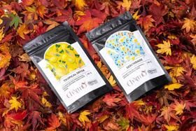 Kit de Chás Orgânicos Chármo Kit de Chás Orgânicos Chármo