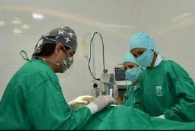 Kit De Cirurgia Veterinária Campos Cirúrgicos & Capotes Cirúrgicos / Aventais Cirurgico