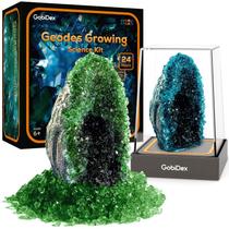 Kit de crescimento de cristais Geodes GoBidex 24 horas de crescimento rápido para crianças