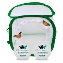 Kit de Criação de Borboletas Clearwater com 10 Lagartas Vivas