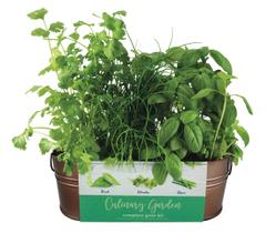 Kit de Cultivo BUZZY Jardim Culinário de Cobre com Manjericão, Coentro e Cebolinha