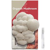Kit de cultivo de cogumelos inbloom Organic Lion's Mane Spray Kit de cultivo de cogumelos inbloom Organic Lion's Mane Spray