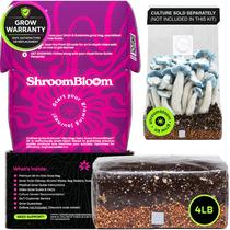 Kit de Cultivo de Cogumelos NuBlume Bolsa de Alto Rendimento 1,8 kg Kit de Cultivo de Cogumelos NuBlume Bolsa de Alto Rendimento 1,8 kg
