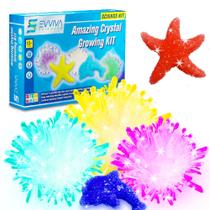 Kit de cultivo de cristais Evviva Sciences para crianças com e-book