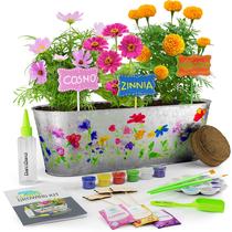 Kit de cultivo de flores para pintar e plantar Dan & Darci para crianças de 5 a 12 anos