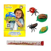 Kit de Cultivo de Joaninhas Insect Lore Live Baby Ladybug