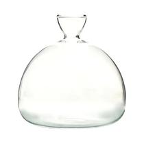 Kit De Cultivo De Sementes De Abacate Transparente Em Vaso De Vidro Para Iniciantes Em Jardinagem Kit De Cultivo De Sementes De Abacate Transparente Em Vaso De Vidro Para Iniciantes Em Jardinagem