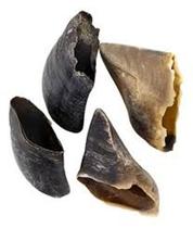 Kit de Decoração Casco Roots Natural - Peças Orgânicas Kit de Decoração Casco Roots Natural - Peças Orgânicas