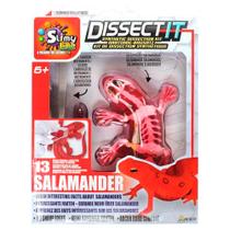 Kit de Dissecação com Refil Lab Dissect-It - Salamandra