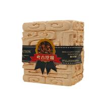 Kit de escavação científica Amber Insect Dig para crianças de 6 anos ou mais Kit de escavação científica Amber Insect Dig para crianças de 6 anos ou mais