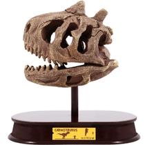 Kit de Escavação de Crânio de Carnotaurus ArtCreativity - Brinquedo Educativo para Crianças