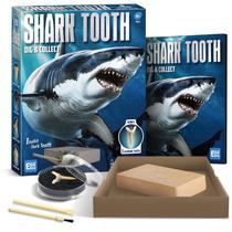 Kit de escavação de dentes de tubarão Eggbox Excavate 8 fósseis de tubarão Kit de escavação de dentes de tubarão Eggbox Excavate 8 fósseis de tubarão