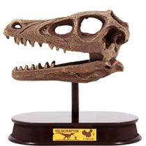 Kit de Escavação de Dinossauro ArtCreativity - Crânio de Velociraptor para Crianças