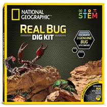 Kit de Escavação de Insetos Reais National Geographic - 3 Insetos (Aranha, Besouro e Escorpião) - Presente STEM