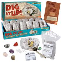 Kit de escavação MindWare Dig It Up! Fósseis e minerais