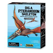 Kit de Escavação Pteranodonte - 4M
