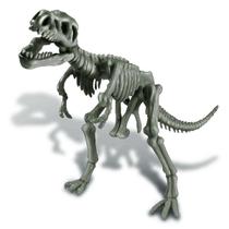 Kit de Escavação Tiranossauro Rex - 4M