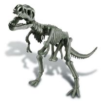 Kit de Escavação Tiranossauro Rex