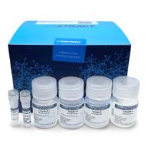 Kit de extração de dna minispin 50 extrações - BIOXTRACTA