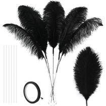 Kit de fabricação de penas Soarer Black Ostrich, 10 unidades, 86 cm de altura