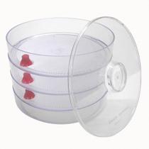 Kit de Germinação Biosta The Miracle Garden com Bandejas de 20 cm Kit de Germinação Biosta The Miracle Garden com Bandejas de 20 cm
