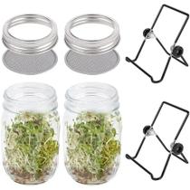 Kit De Germinação De Sementes Em Pote Mason Com Suporte De Aço Inoxidável E Tampa De Germinação Kit De Germinação De Sementes Em Pote Mason Com Suporte De Aço Inoxidável E Tampa De Germinação