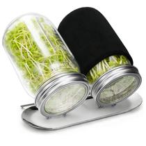 Kit de Germinação Palksky com 2 Potes de Vidro de 710 ml e Aço Inoxidável Kit de Germinação Palksky com 2 Potes de Vidro de 710 ml e Aço Inoxidável