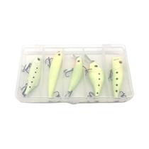 Kit De Iscas Artificiais Luminous Popper Crank Bait 5PCS Para Pesca Noturna De Pike E Bass No