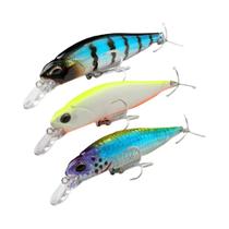 Kit De Iscas Para Pesca De Carpa: Iscas Flutuantes De 8.5g, Iscas Afundantes De 5g, Minnow, Wobbler,