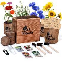 Kit de jardinagem Meekear Indoor Starter 4 com caixa de madeira e solo