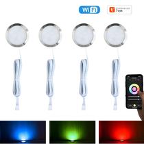 Kit De Luz LED RGB Para Armário 12V Tuya WiFi Controle Inteligente Compatível Com Google Assistant