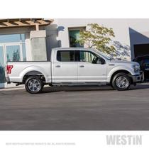 Kit de Montagem de Barra Nerf Westin 22-2055 Preto para F-150 F-250