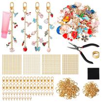 Kit de Montagem de Pulseiras com Berloques SUTROMA 423 Peças com Alicate para Joias Kit de Montagem de Pulseiras com Berloques SUTROMA 423 Peças com Alicate para Joias