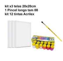 Kit De Pintura 3 Telas 20X20CM 1 Pincel E 12 Tintas Acrilex