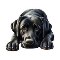 Kit De Pintura Com Diamantes DIY Para Adultos 5D, Bordado Completo Com Tema De Cão, Mosaico De