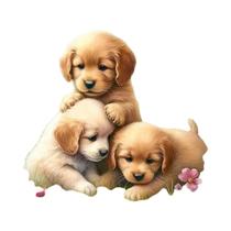 Kit De Pintura Em Diamante DIY 5D De Cachorro Fofo, Bordado De Mosaico Com Strass Para Decoração De Kit De Pintura Em Diamante DIY 5D De Cachorro Fofo, Bordado De Mosaico Com Strass Para Decoração De