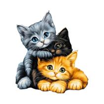 Kit De Pintura Em Mosaico De Diamante De Animais Gato Momoart, Bordado Completo Quadrado Redondo, Kit De Pintura Em Mosaico De Diamante De Animais Gato Momoart, Bordado Completo Quadrado Redondo,