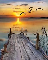 Kit de pintura TUMOVO Bridge at Sunset Sea com 40x50cm sem chama