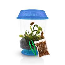 Kit de Planta Carnívora Vênus Papa-Moscas Nature Gift Store Terrário 11 cm Kit de Planta Carnívora Vênus Papa-Moscas Nature Gift Store Terrário 11 cm