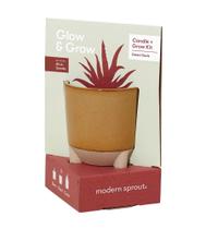 Kit de plantas Modern Sprout Glow Grow Vela perfumada de 12 onças