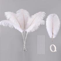 Kit de Plumas de Avestruz Ballinger 10 Piezas 71 cm Grandes Blancas Kit de Plumas de Avestruz Ballinger 10 Piezas 71 cm Grandes Blancas