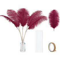 Kit de Plumas de Avestruz Burdeos Holmgren 20 piezas 25-30 cm