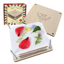 Kit de prensa de flores GOTHINK 6 camadas de 15 x 15 cm para adultos e crianças Kit de prensa de flores GOTHINK 6 camadas de 15 x 15 cm para adultos e crianças