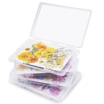 Kit de preservação de flores Conjunto de armazenamento de flores secas Aboofx Kit de preservação de flores Conjunto de armazenamento de flores secas Aboofx