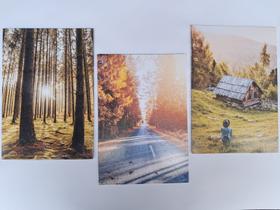 Kit de Quadros Forest Escape Natureza e Liberdade 3 Peças